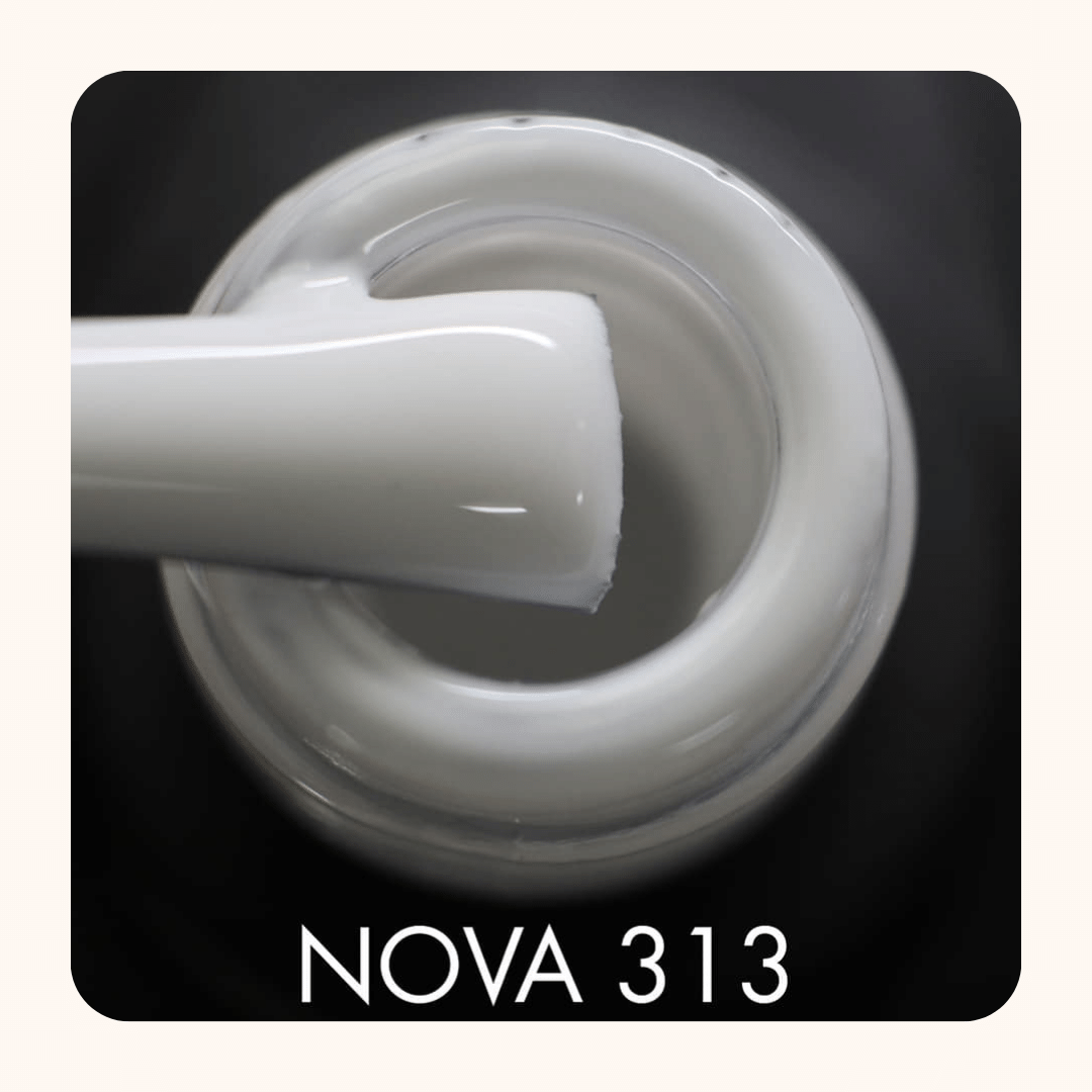 "Nova" 313