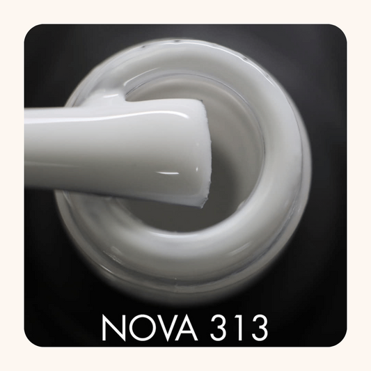 "Nova" 313